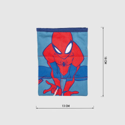 Bag Spider-Man