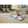 Tapis de jeu Fisher Price Plastique