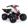 Electric Quad Injusa The Beast Mercedes 12V