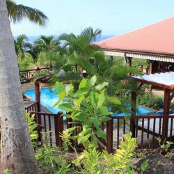Deshaies Guadeloupe - stay in a Bungalow with Jacuzzi