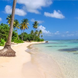 enjoy the magical setting of the beach of Sainte Anne in Guadeloupe