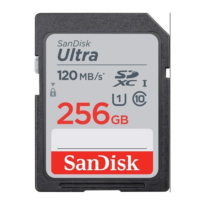Flash Memory Card - 256 GB