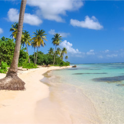 Plage de Sainte Anne en Guadeloupe