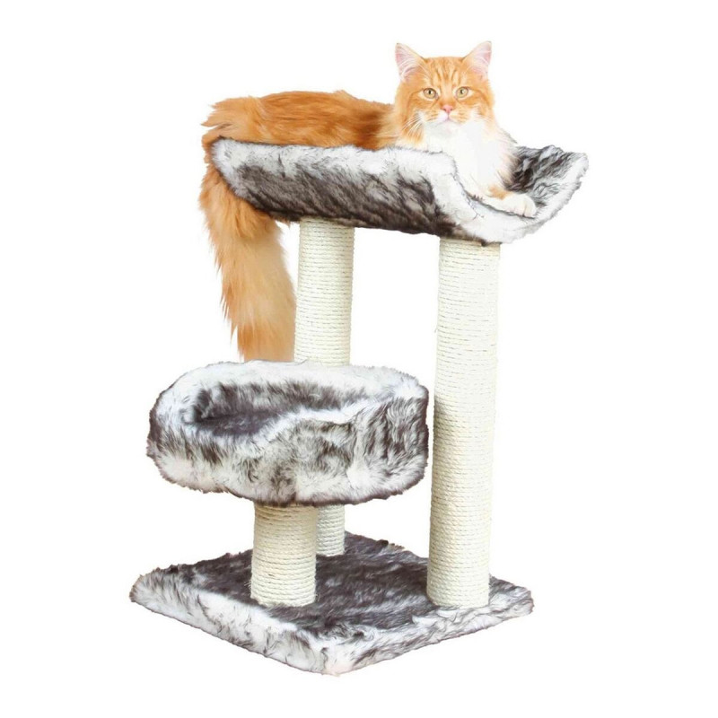 Grattoir pour Chats Trixie 44567 Arbre Sisal Noir Ø 8 cm 62 cm 36 x 3