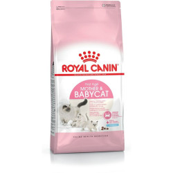 Aliments pour chat Royal Canin Mother & Babycat Adulte Poulet Oiseaux 