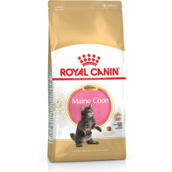 Aliments pour chat Royal Canin Maine Coon Kitten Poulet Riz Oiseaux 4 