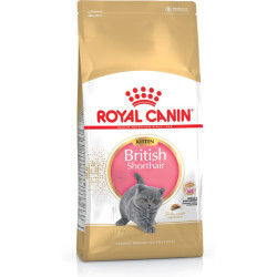 Aliments pour chat Royal Canin British Shorthair Kitten Poulet Riz Lé