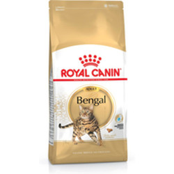 Aliments pour chat Royal Canin Bengal Adult Adulte Légumes Oiseaux 10