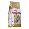 Cat food Royal Canin Bengal Adult Adult Vegetable Birds 2 Kg