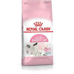 Aliments pour chat Royal Canin Mother & Babycat Adulte Oiseaux 4 Kg