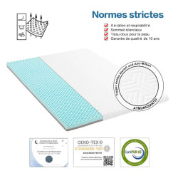 Surmatelas anti allergique