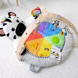 Play mat Baby Einstein