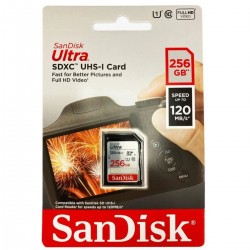 Carte mémoire flash - SANDISK -  - 256GB -  -  (SDSDUNR-256G-GN3IN)