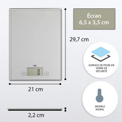 Electronic Scales