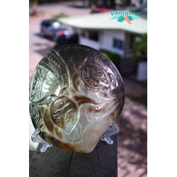 Turtle Oyster Carved