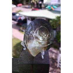 Turtle Oyster Carved