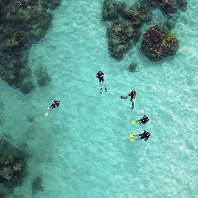 Plongée Sous-Marine à Moorea - Réservez Votre Aventure Unique