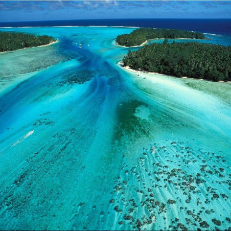 Tour du lagon, nage avec les raies , les requins et les tortues