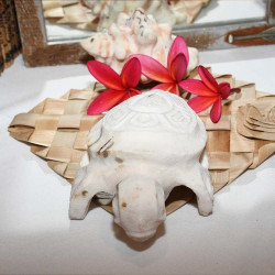 Sculpture Tortue en corail - Artisanat de Tahiti | Ventanou Polynésie