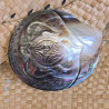 Sea Turtle Engraved Mother-of-Pearl - Polynesian Elegance | Ventanou