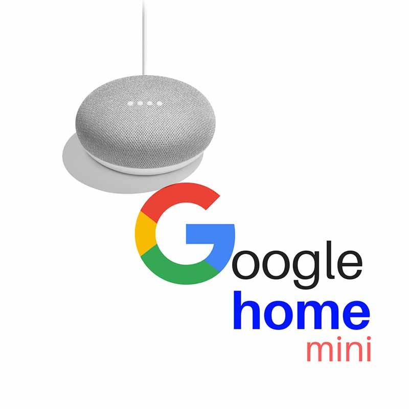 Assistant vocal Google Home Mini Gris Charbon enceinte intelligente