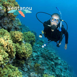 Diving Excursion and Initiation | Ventanou