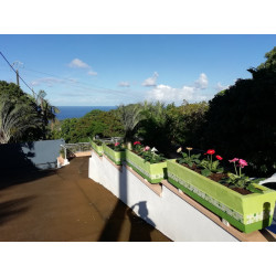 Studio rental in Vincendo, Reunion Island | Ventanou