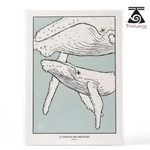 carte-postale-baleine-et-baleineau-saison-des-baleines-a-moorea- Whale Season in Moorea – Polynesian Art Print A5