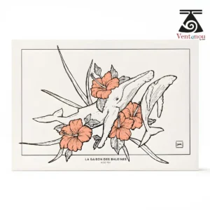 carte-postale-hibiscus-baleine-et-baleineau-saison-des-baleines-a-moorea- Whale Season in Moorea – Polynesian Art Print A5