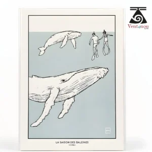 carte-postale-plongee-avec-les-baleines-a-mooreas Whale Season in Moorea – Polynesian Art Print A5