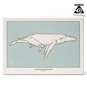 reproduction-baleine-et-baleineau-moorea Whale Season in Moorea – Polynesian Art Print A5